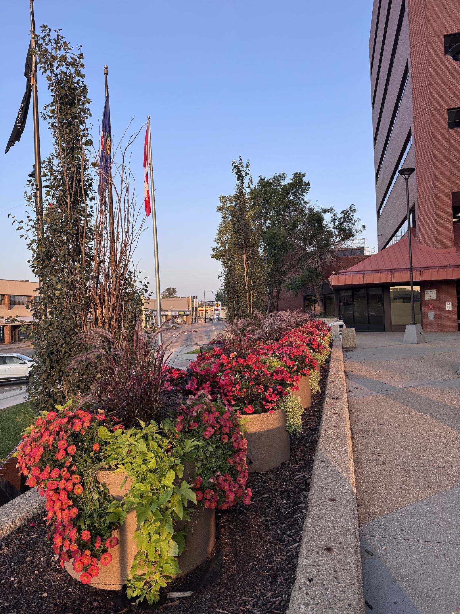 Downtown Fort McMurray streetscape with flower planters